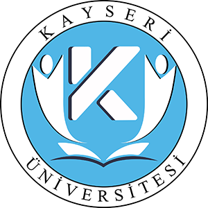 Kaysiber Logo